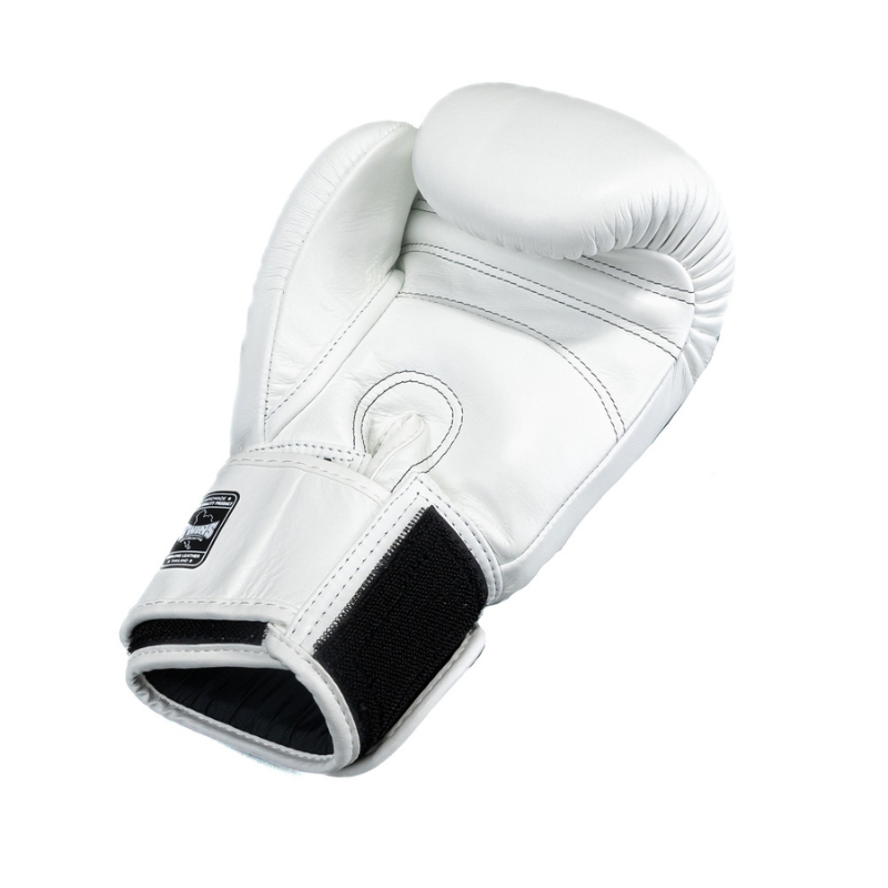 Gants de boxe Twins BG-N V2 Blanc