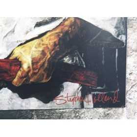 Poster Helio Gracie 100 Ans