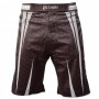 Fightshort Tatami Fightwear Matrix